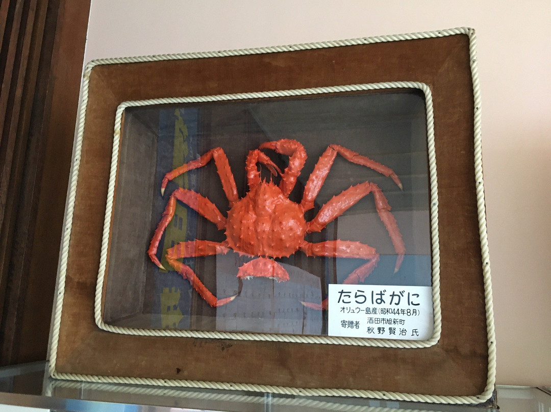 Marine Center-酒田市必去景点