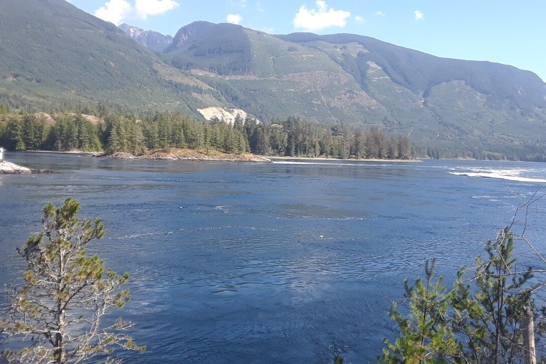 Bathgate General Store, Resort & Marina主图