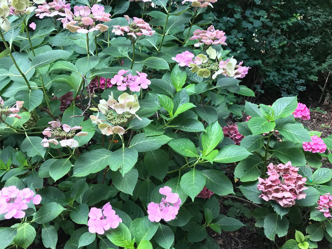Botanic Gardens Kiel-基尔必去景点