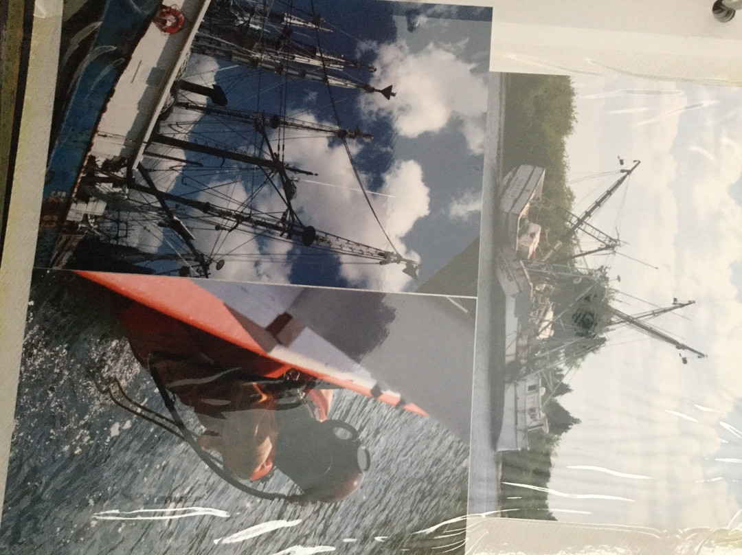 St. Nicholas VI Sponge Boat-塔彭斯普林斯必去景点