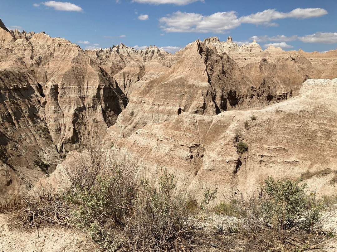 Badlands Wall景点图片