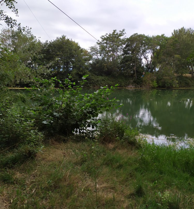 Indiana River Camargue景点图片