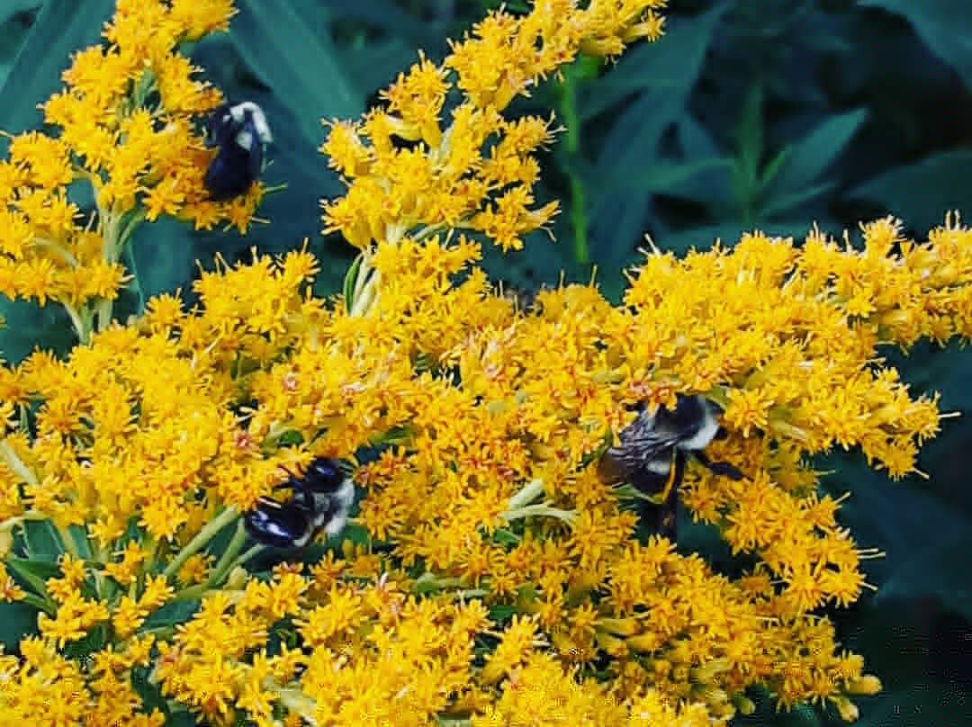 Tug Hill Resort主图