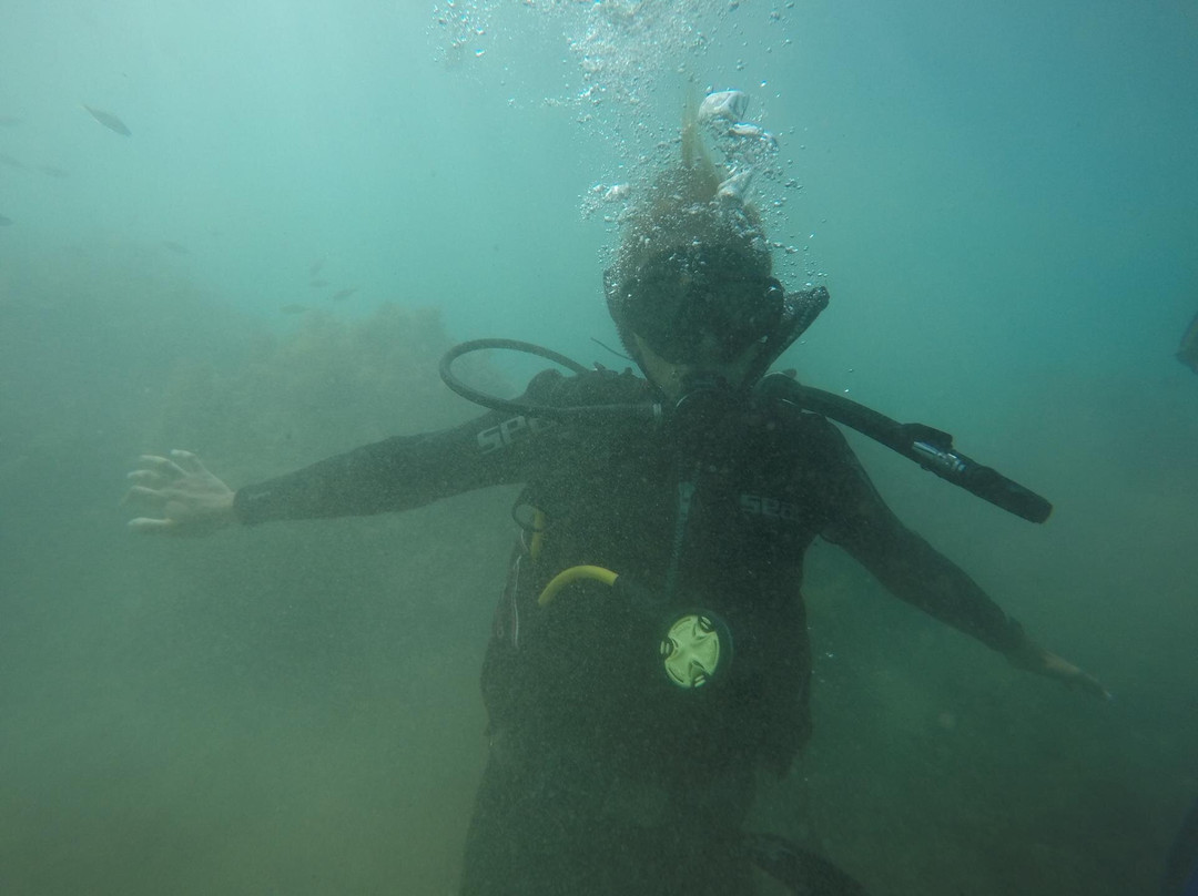 Moroccan Diving Center-Al Hoceima必去景点