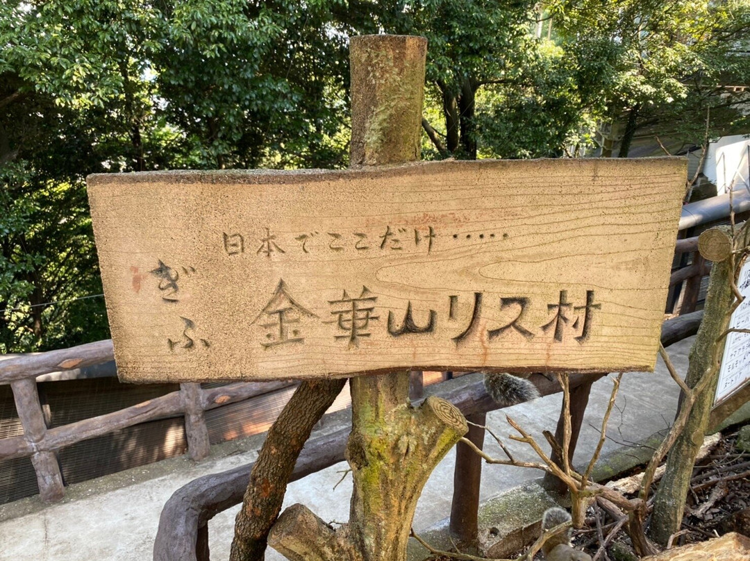 Mt. Kinkazan Squirrel Village-岐阜市必去景点