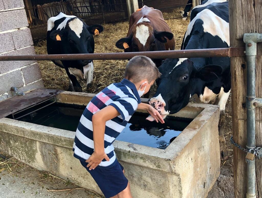 Agriturismo Poggio Tondo主图