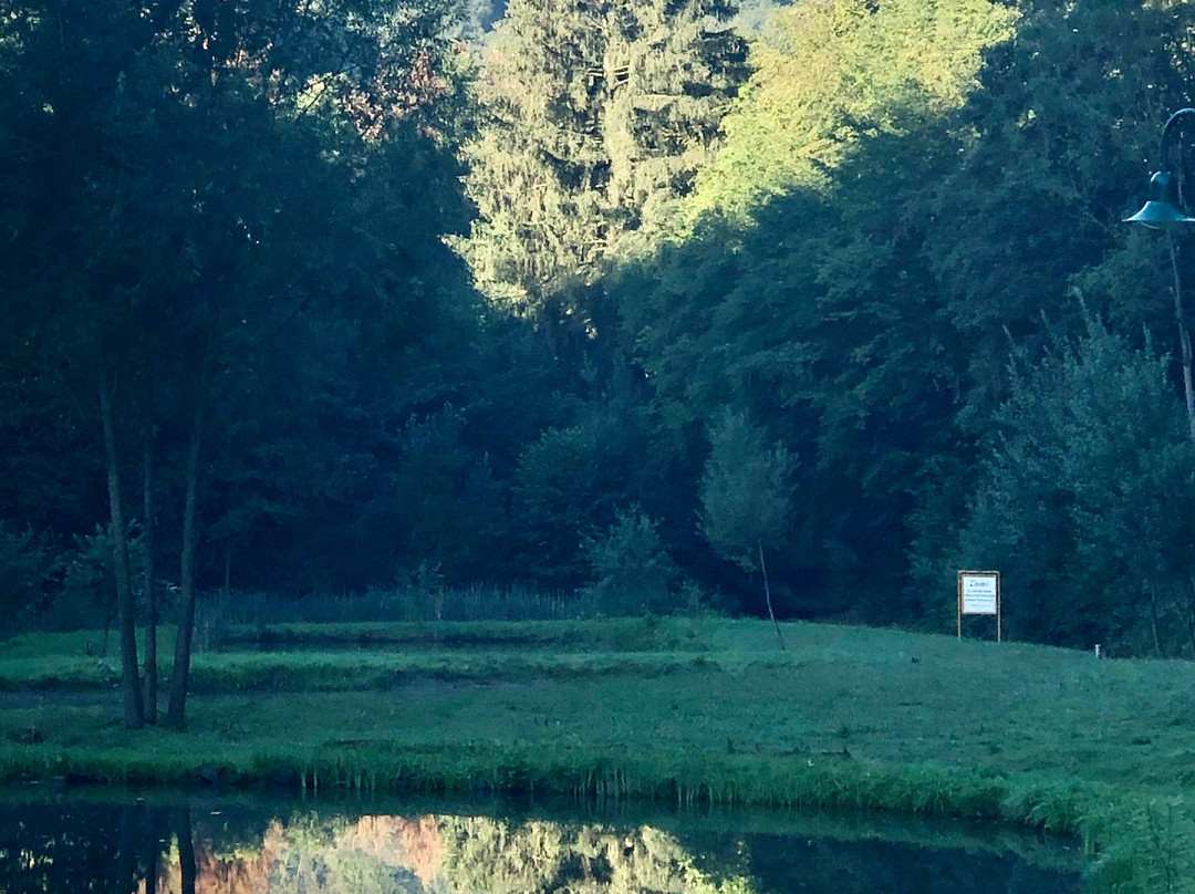 Hotel Hüttenmühle主图