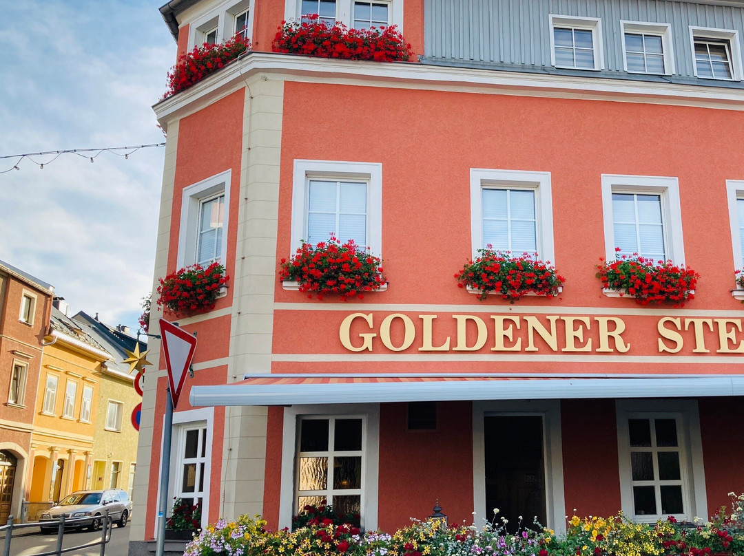 Goldener Stern Hotel主图