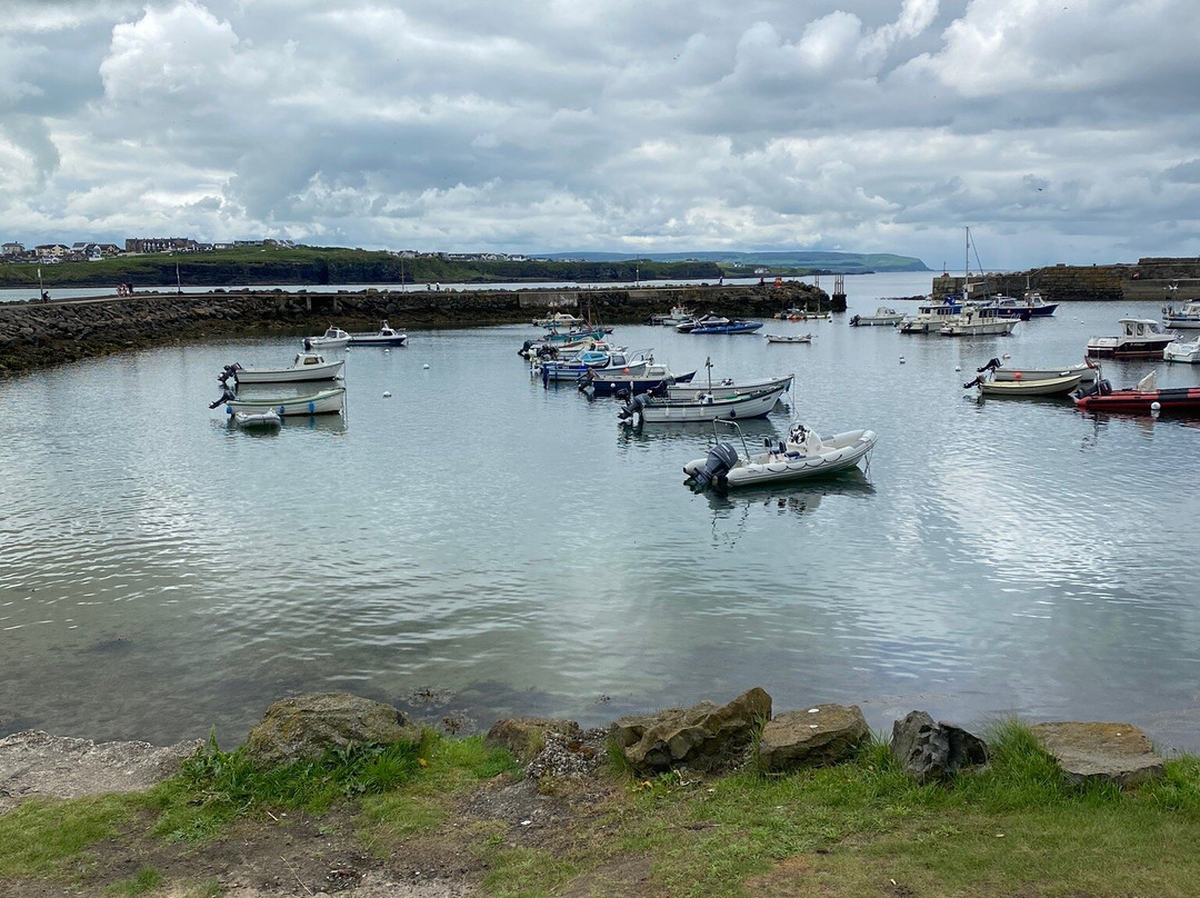 Traditional Taxi Tours Belfast-贝尔法斯特必去景点