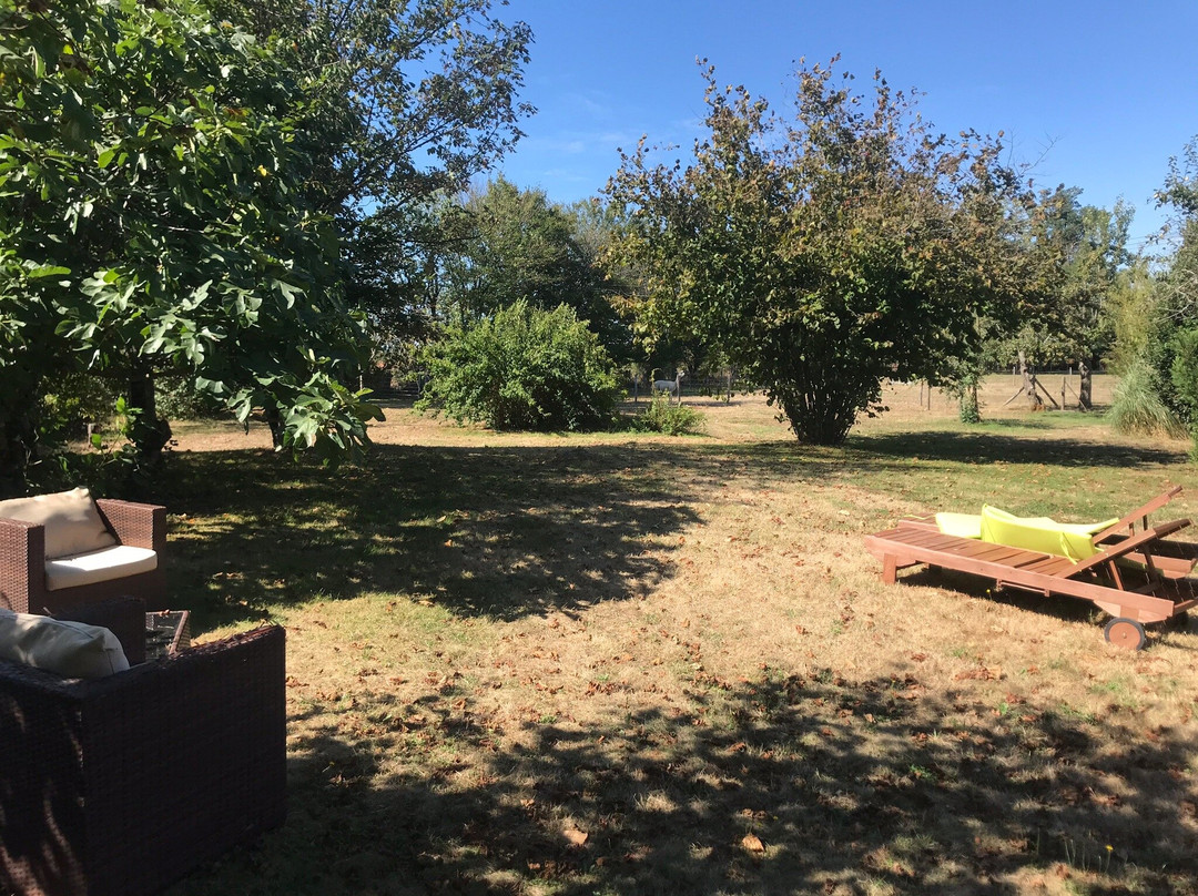 The Alpaca B&B主图