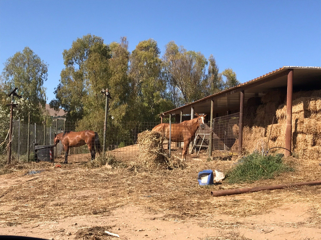 Scuderie De Morimenta主图