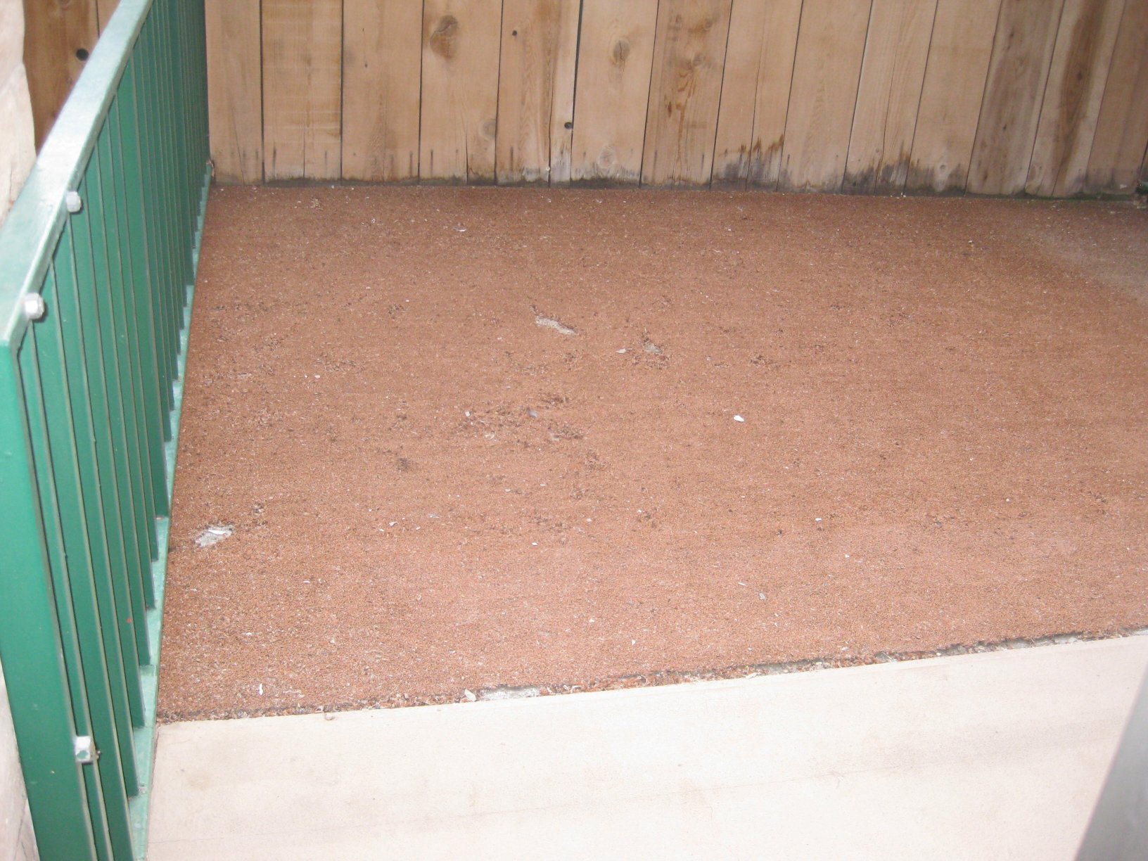 The Federal Hotel Downtown Carson City, an Ascend Collection Hotel-酒店景观