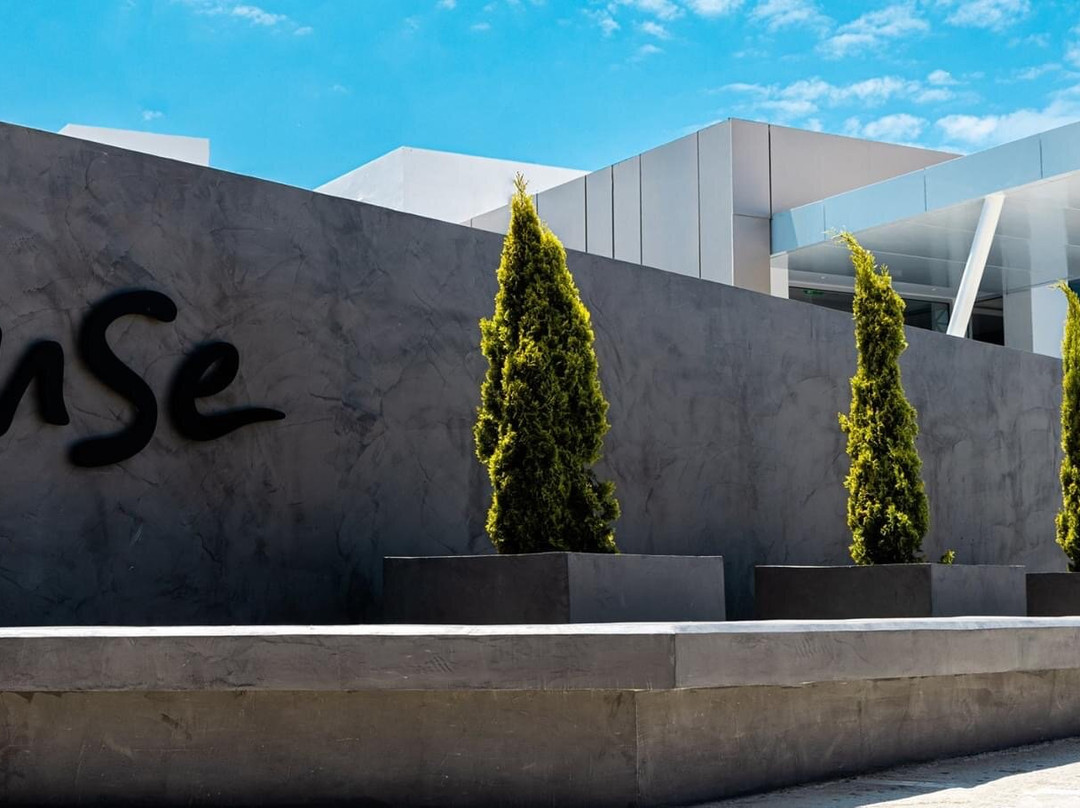 Muse Cafe Kitchen Bar