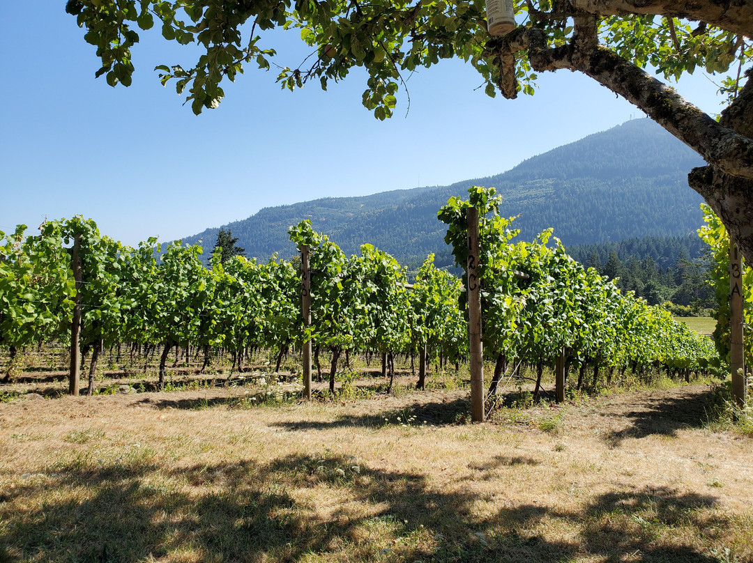 Garry Oaks Estate Winery景点图片