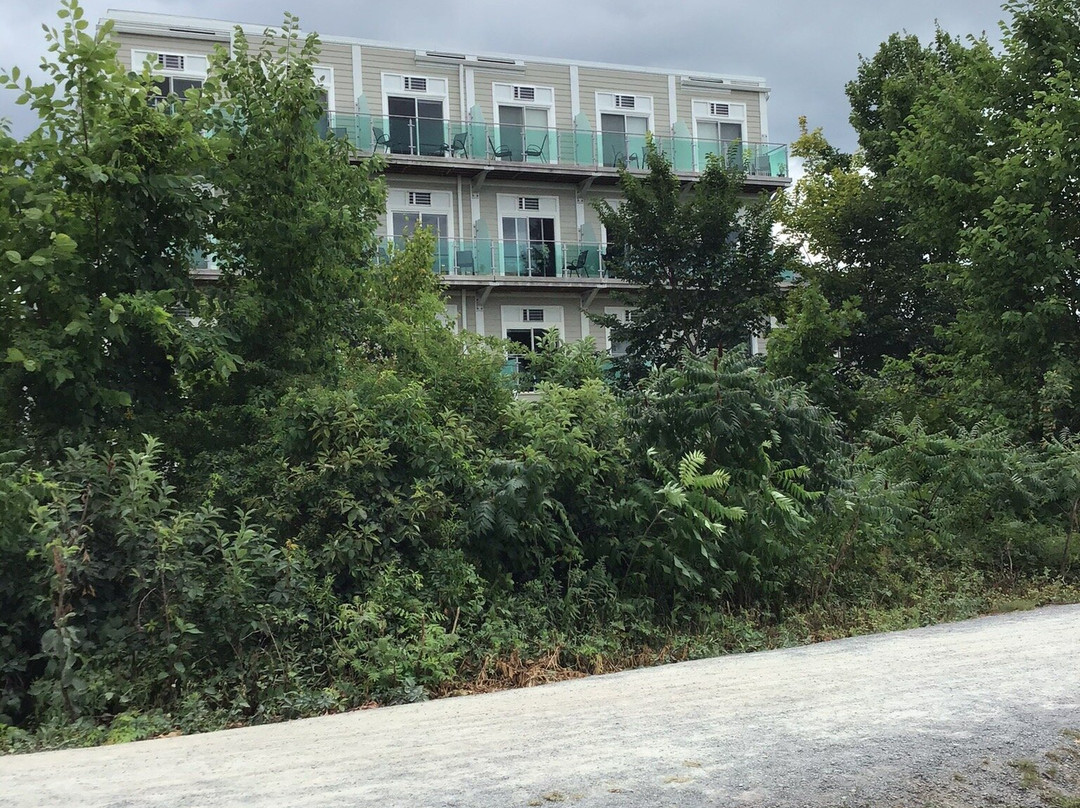 Micro Boutique Living Wolfville主图