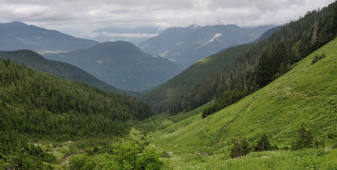 Hidden Lake Peak Trail景点图片