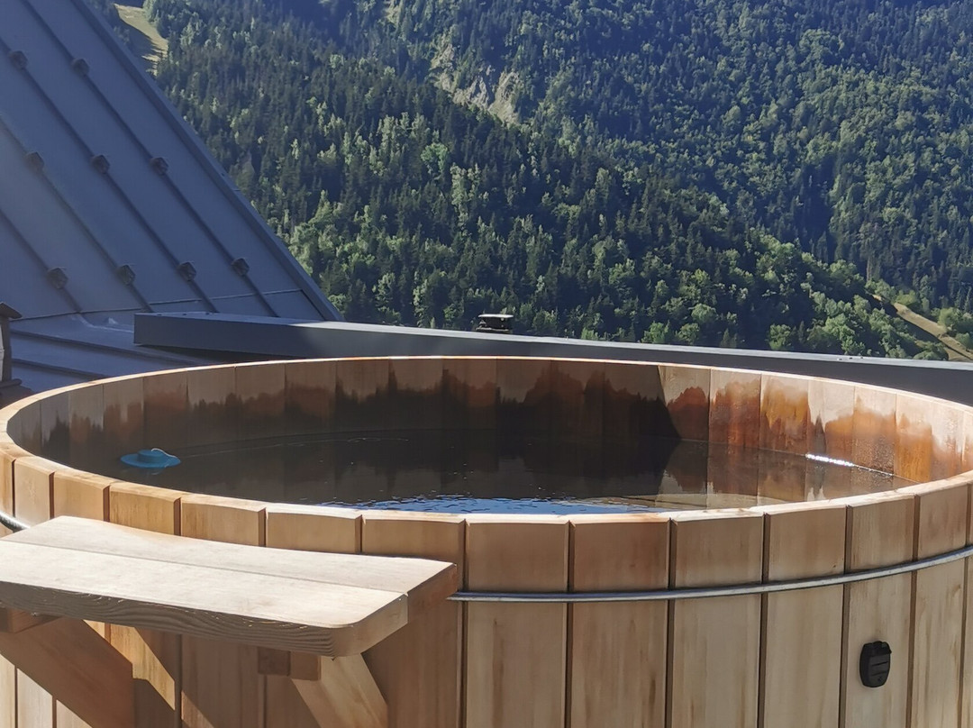 Le V de Vaujany主图