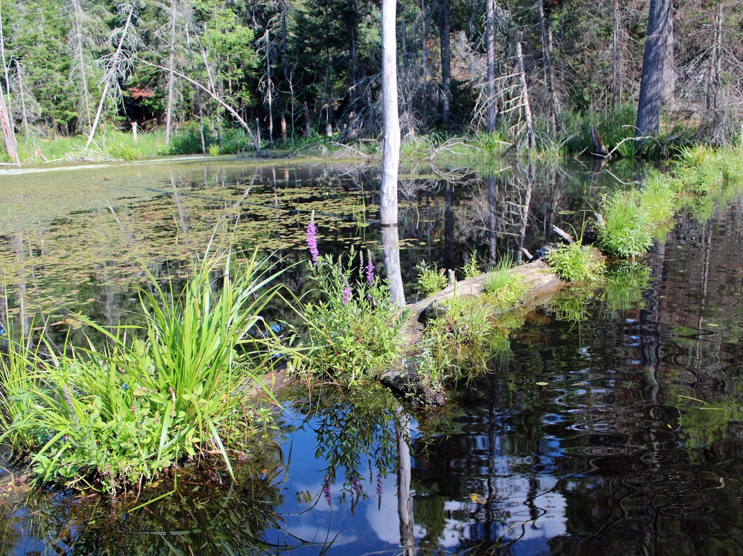 French River Provincial Park-Northeastern Ontario必去景点