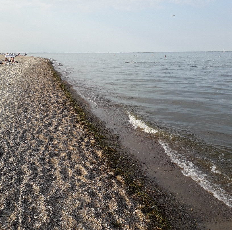 Beach in Rewa景点图片