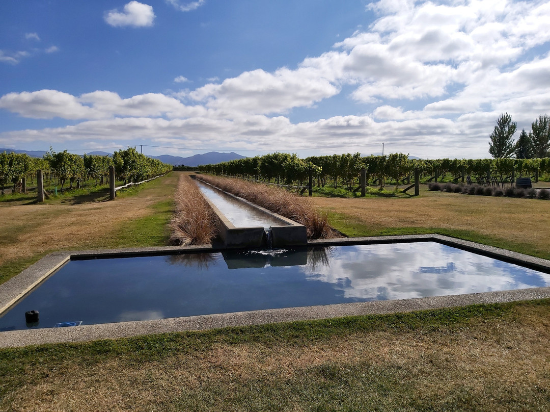 Villa Maria Estate Marlborough Winery景点图片
