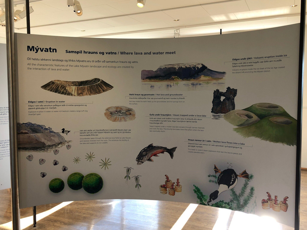 Myvatn Visitor Center-雷克雅里德必去景点