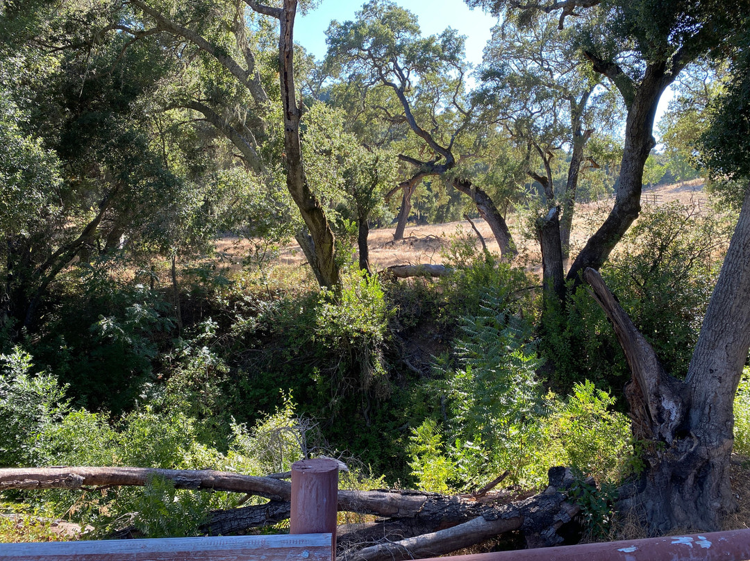 Creekside Inn of Paso Robles主图