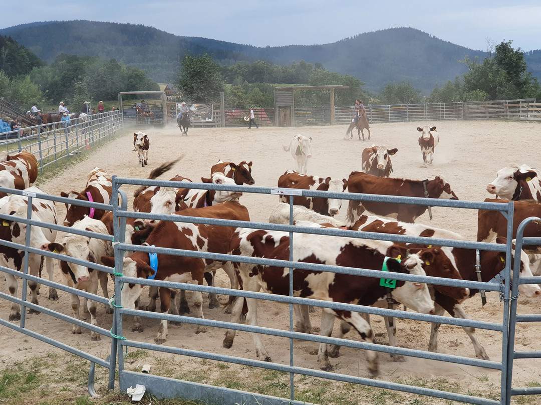 Western City-Sciegny必去景点