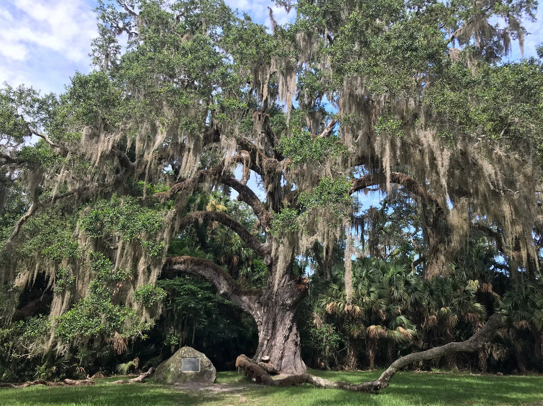 Bulow Creek State Park-奥蒙德海滩必去景点