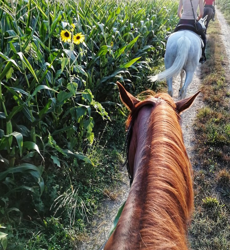 Horse Riding Tre Laghi-丘西必去景点
