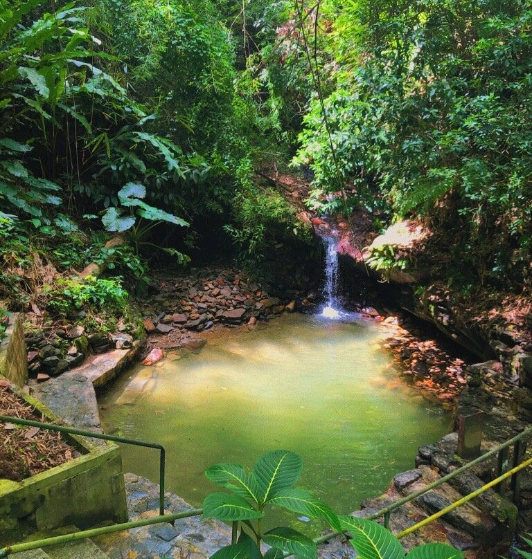 The Sprout Experience-克利夫兰必去景点