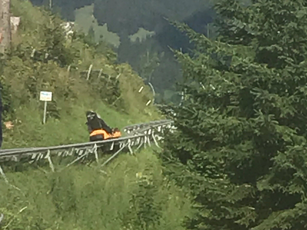 Alpine Coaster Oberammergau-奥伯阿默高必去景点