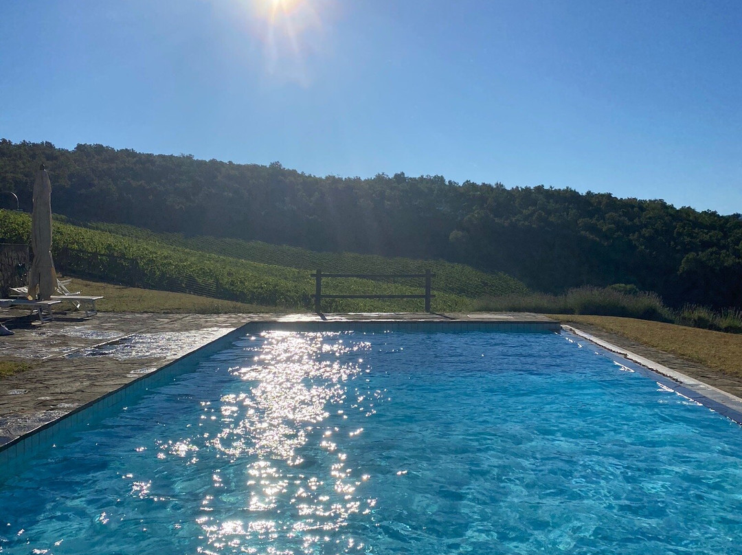 Poggio al Sole Winery景点图片