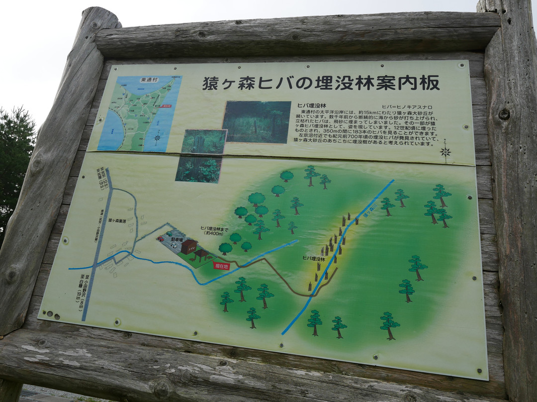 Sarugamori Hiba Maibotsu Forest景点图片