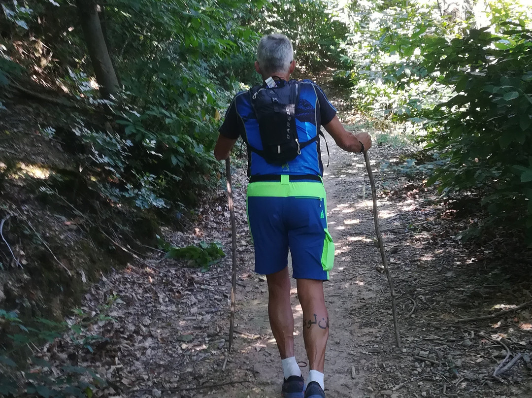 Parco Regionale dei Colli Euganei-Este必去景点
