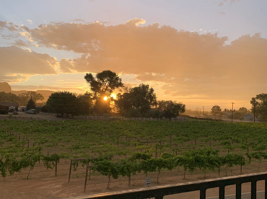 Two Rivers Winery & Chateau主图