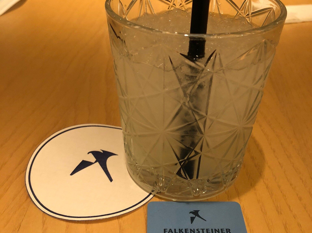 Falkensteiner Hotel Bad Leonfelden主图