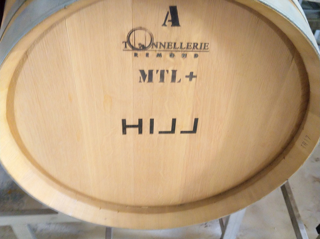 Weingut Leo Hillinger-Jois必去景点