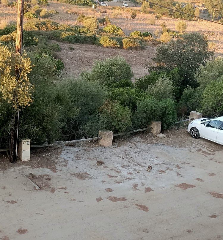 西萨里奥酒店主图