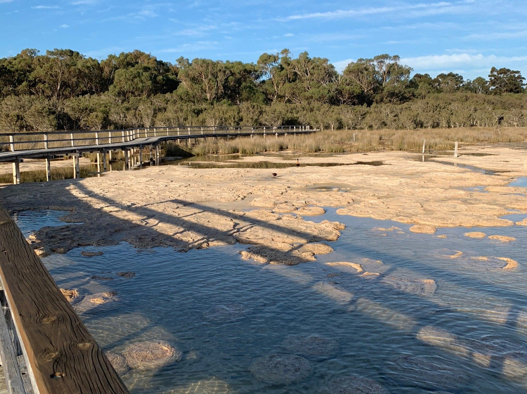Yalgorup National Park-曼杜拉必去景点