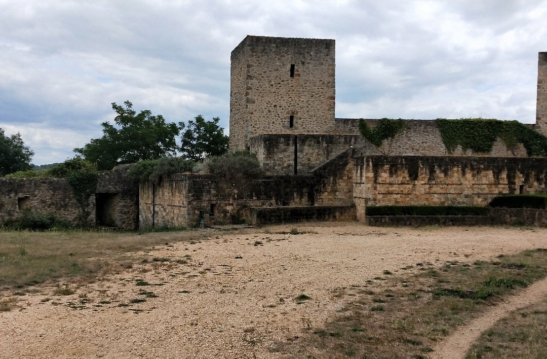 Chateau de la Madeleine景点图片