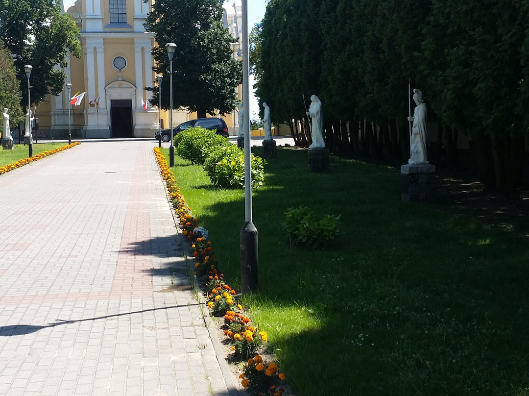 Kościół pw. św. Wojciecha BM景点图片