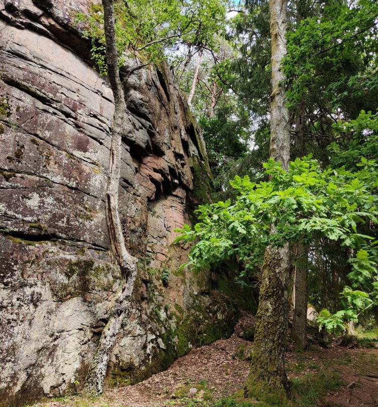 Olavsberget Camping og badeplass