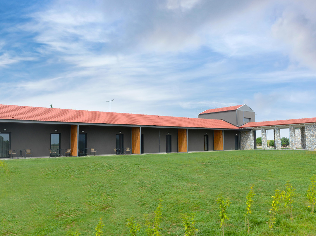 Comfort Suites & Rooms主图