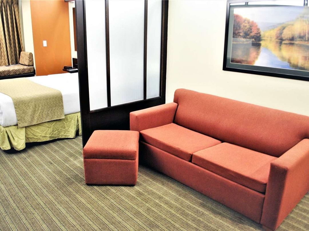 Microtel Inn & Suites by Wyndham Toluca主图