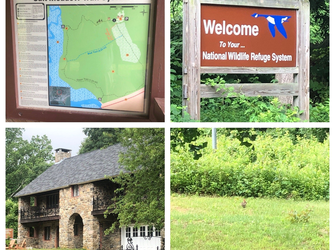 Stewart B. McKinney National Wildlife Refuge-韦斯特布鲁克必去景点