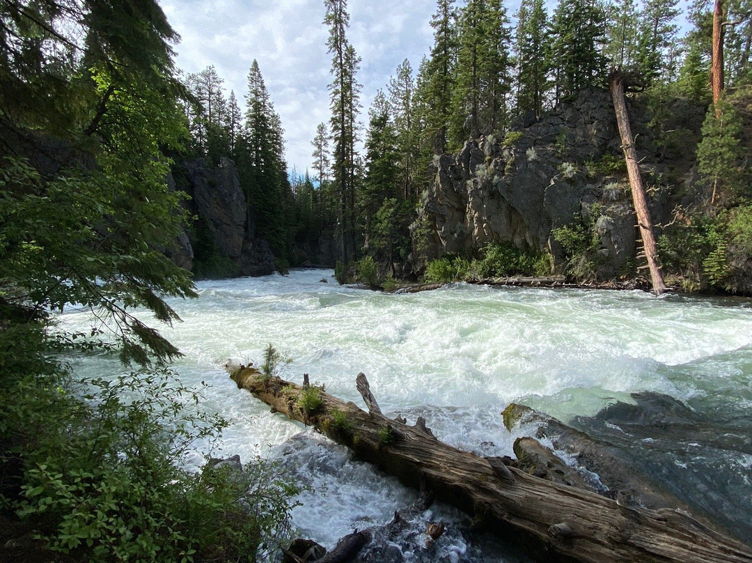 Trail to Benham Falls景点图片