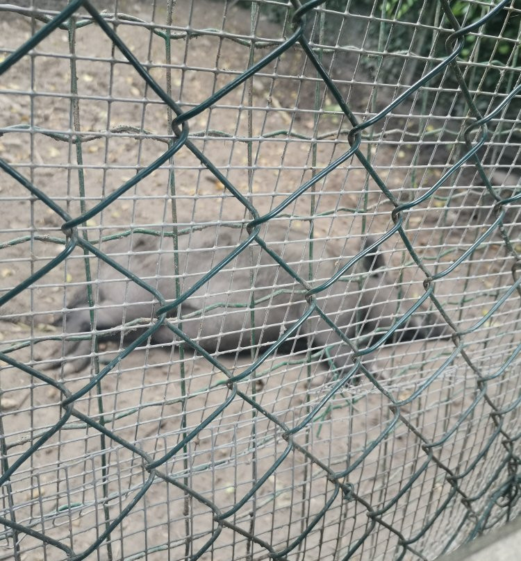 Parco WWF Centro Didattico Ronchi景点图片