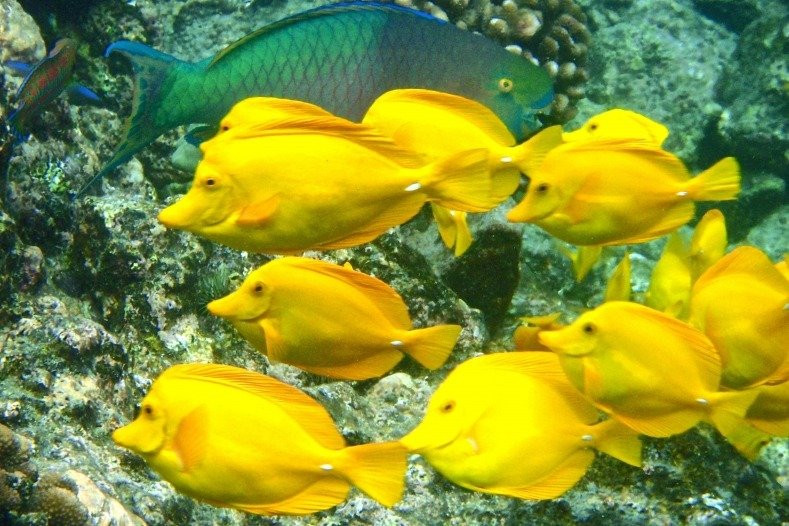 ADVENTURES IN PARADISE-凯乌渥必去景点