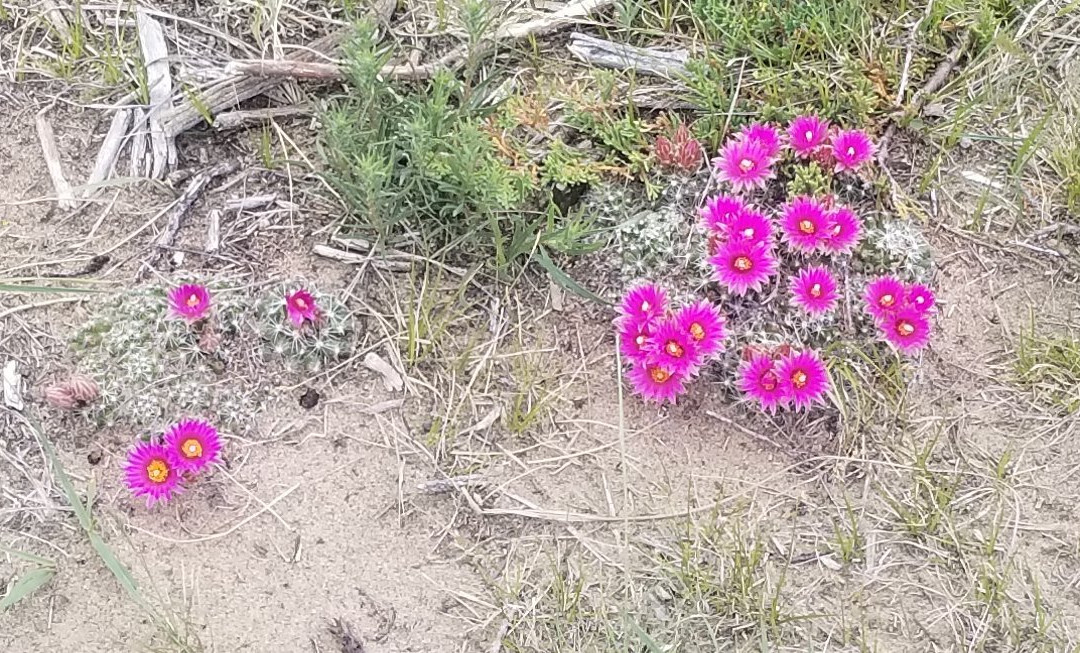 Douglas Provincial Park-Elbow必去景点