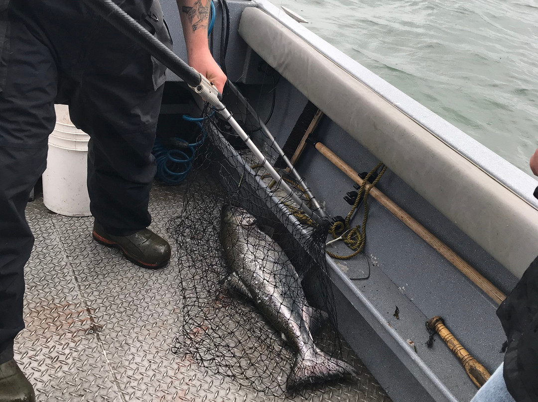 Wild Northern Adventures-Stewart必去景点